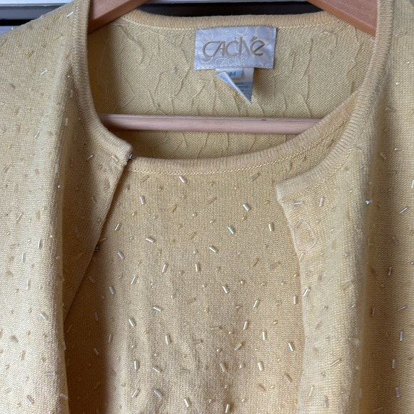 Vintage Cache Silk Cashmere Blend Beaded Sweater Set - Picture 3 of 11